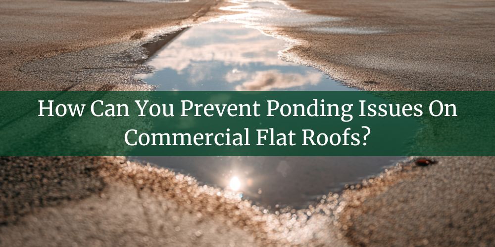 blog/how-can-you-prevent-ponding-issues-on-commercial-flat-roofs.jpg