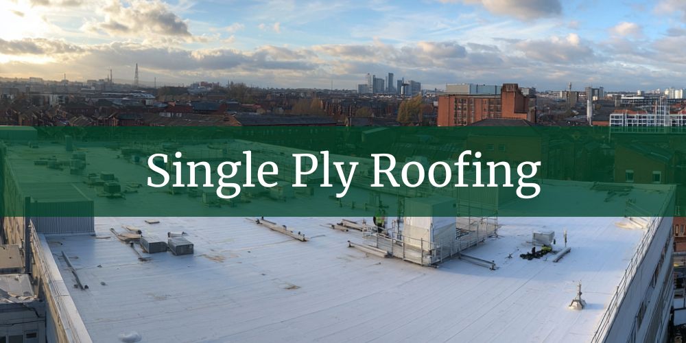 services/single-ply-roofing.jpg